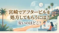 宮崎でアフターピルを処方してもらうには？安いのはどこ？