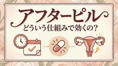 アフターピルはどういう仕組みで効くの?